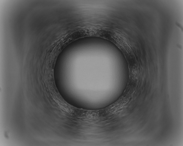 X0000097600865200802291241