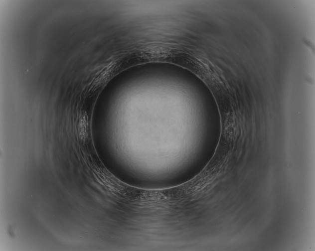 X0000097600866200802291241