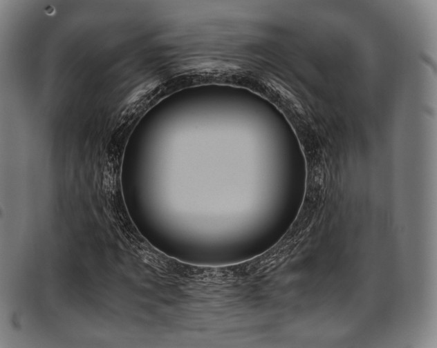 X0000097600869200802291241