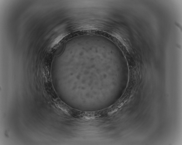 X0000097600871200802291241