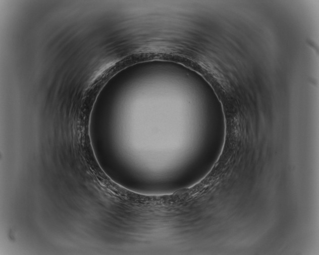 X0000097600872200802291241