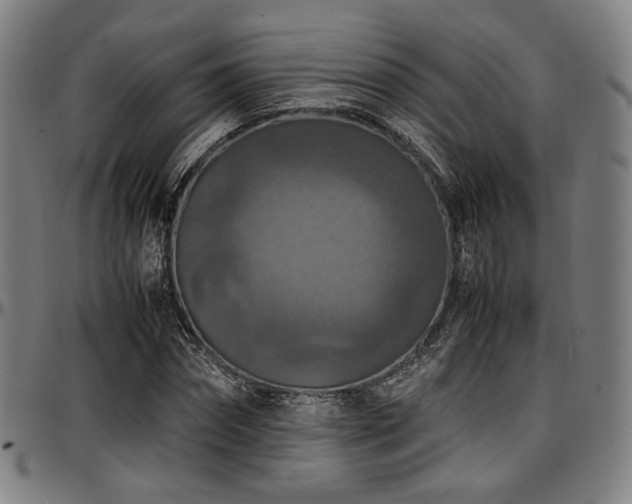 X0000097600874200802291241