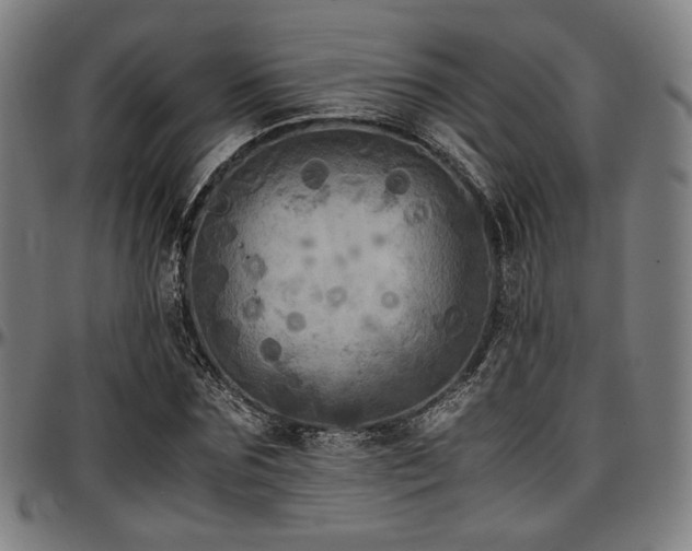 X0000097600875200802291241