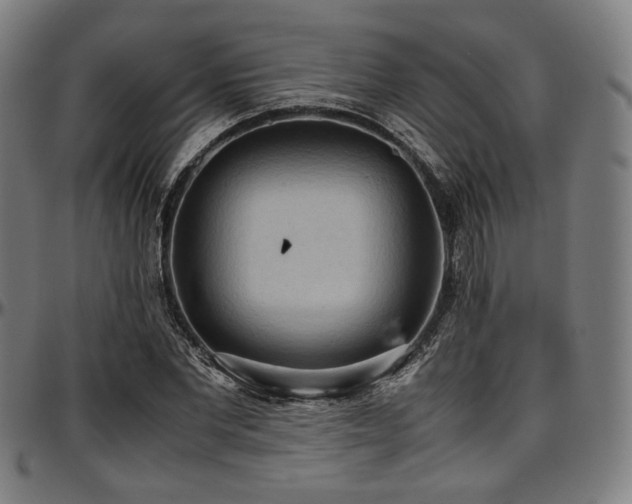 X0000097600877200802291241