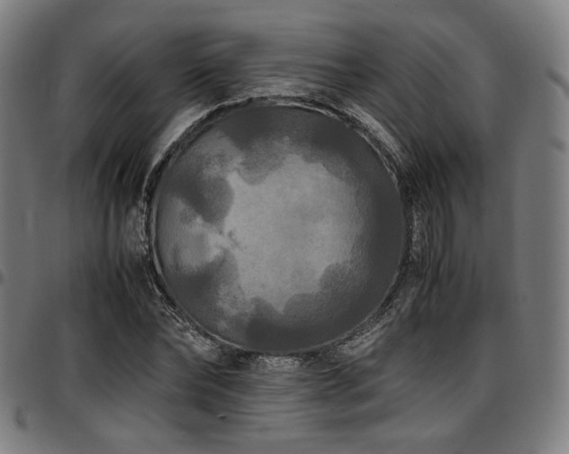 X0000097600878200802291241