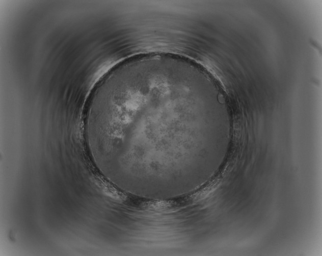 X0000097600879200802291241