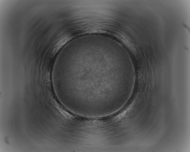 X0000097600881200802291241
