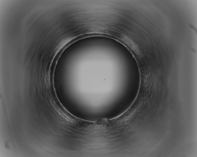 X0000097600884200802291241