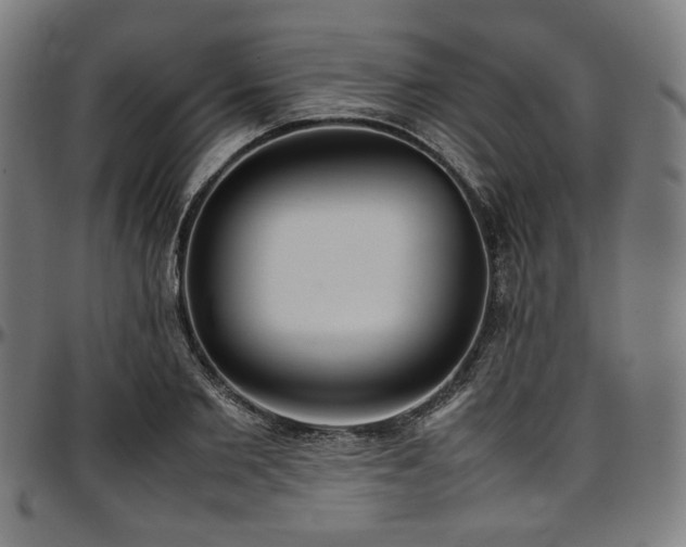 X0000097600885200802291241