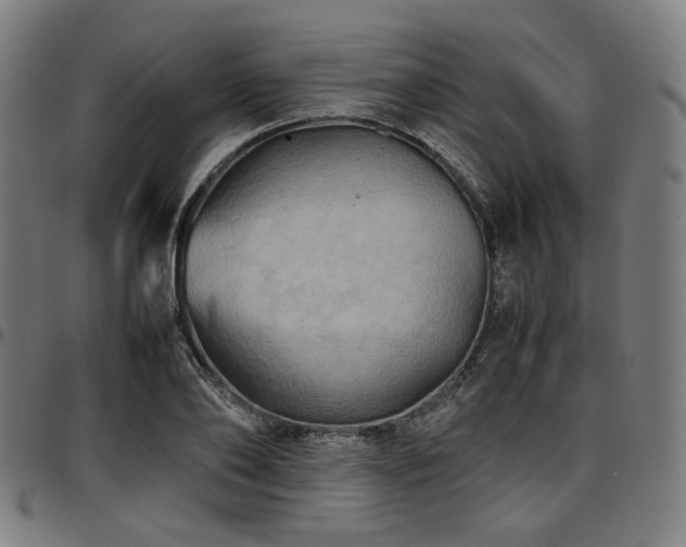 X0000097600886200802291241