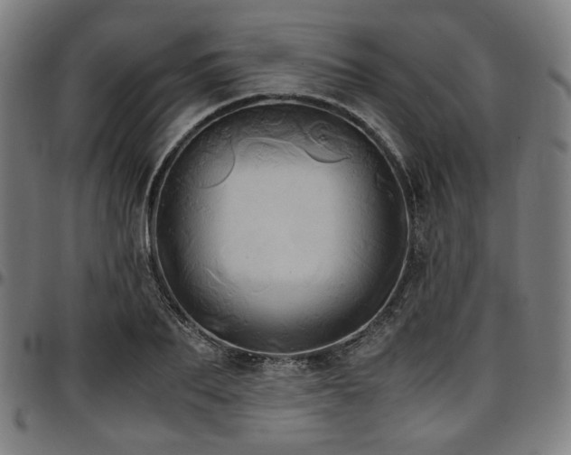 X0000097600887200802291241