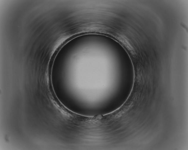 X0000097600888200802291241