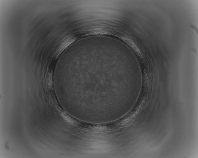 X0000097600889200802291241
