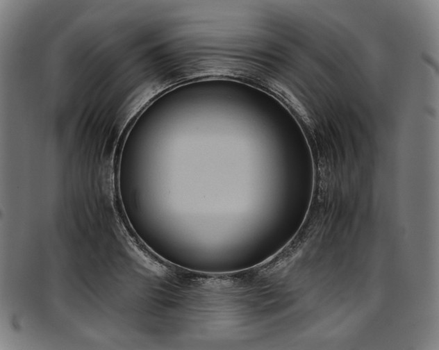 X0000097600890200802291241