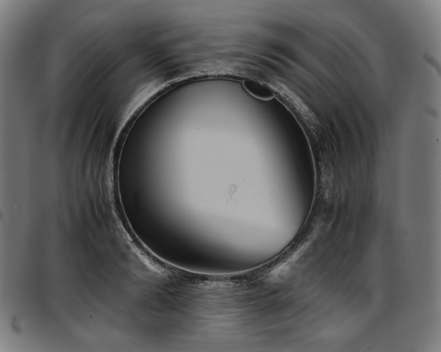 X0000097600894200802291241