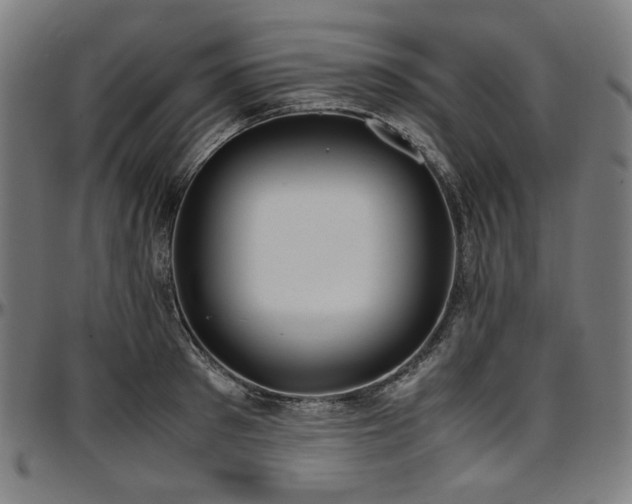 X0000097600897200802291240