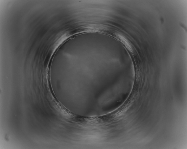X0000097600899200802291240