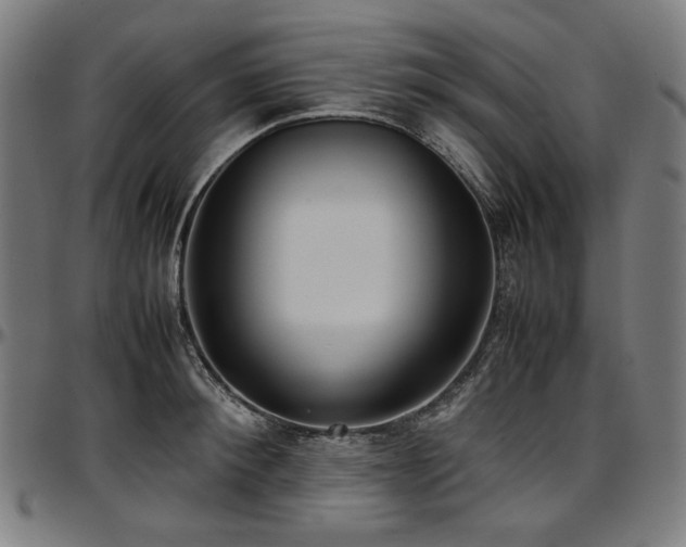 X0000097600900200802291240
