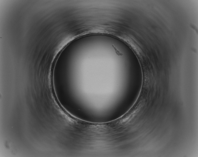 X0000097600902200802291240