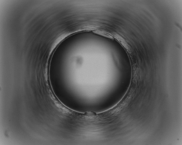 X0000097600904200802291240