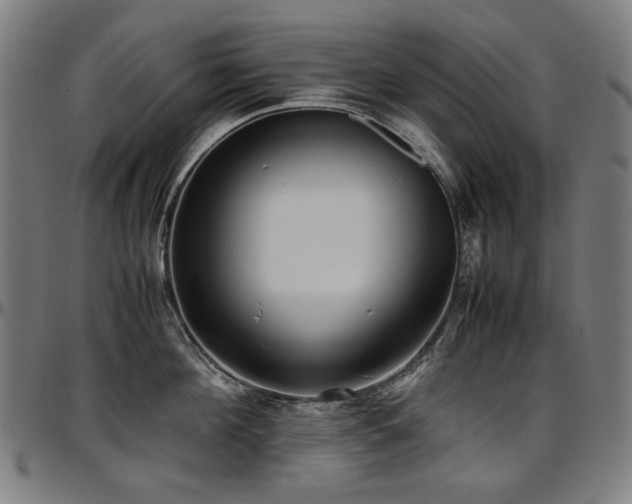 X0000097600908200802291240