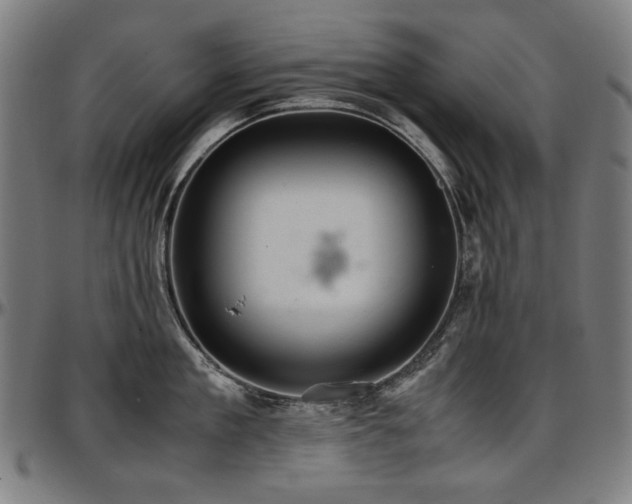 X0000097600909200802291240
