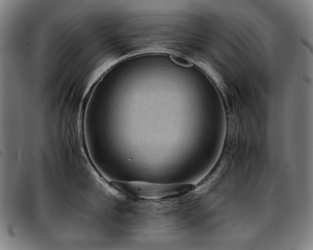X0000097600910200802291240