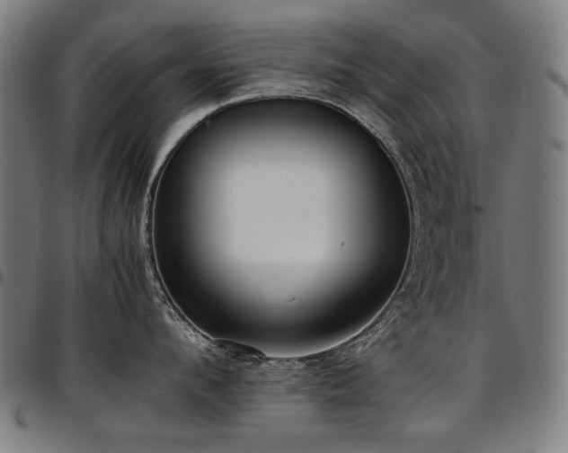 X0000097600912200802291240