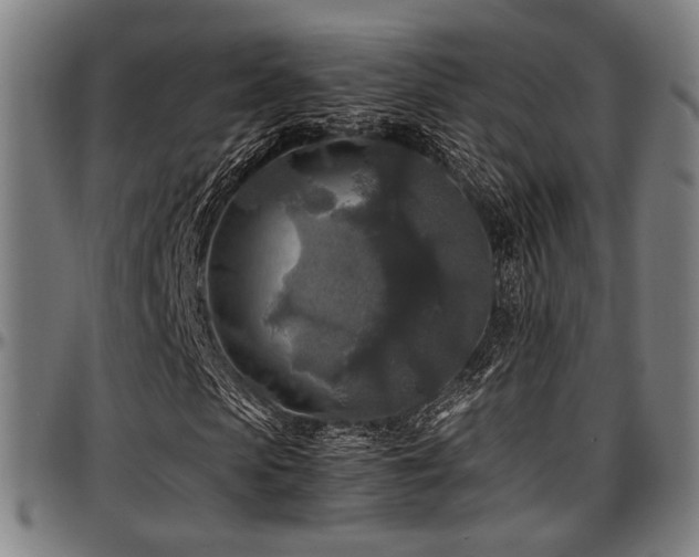 X0000097600913200802291239