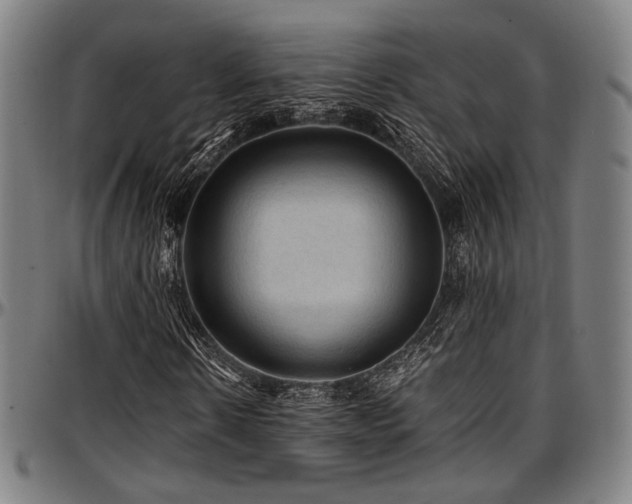 X0000097600914200802291239