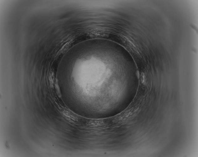 X0000097600915200802291239