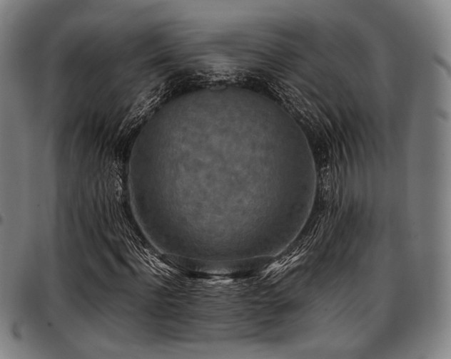 X0000097600916200802291239