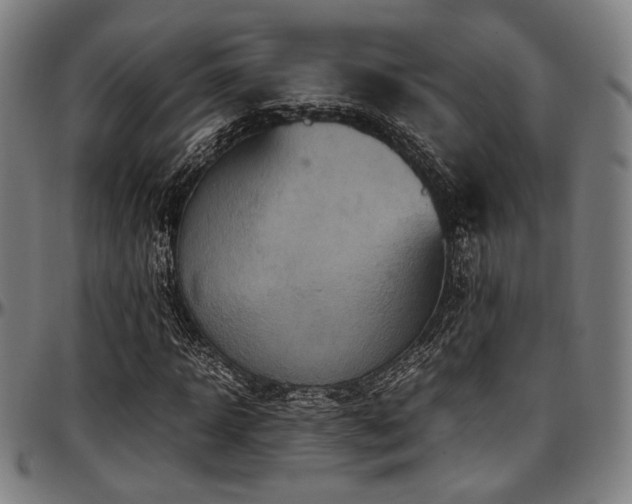 X0000097600918200802291239