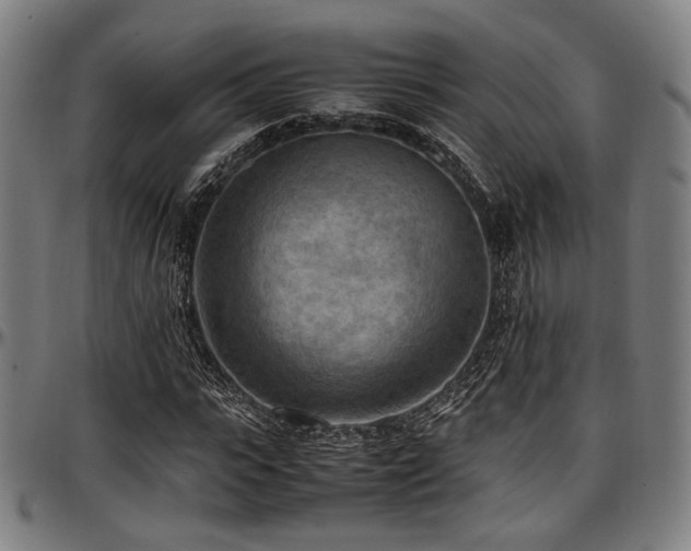 X0000097600919200802291240
