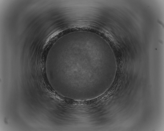 X0000097600920200802291240