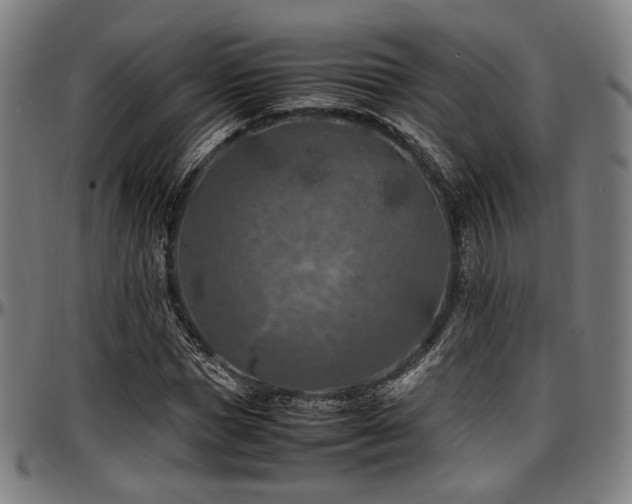 X0000097600921200802291240