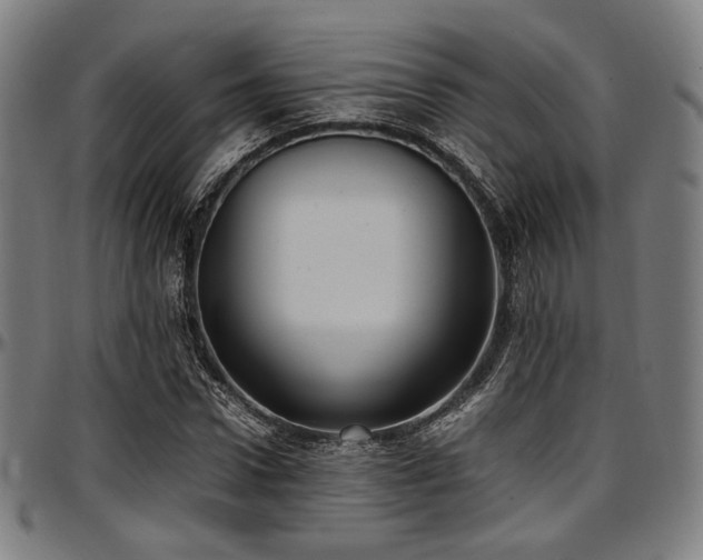 X0000097600922200802291240