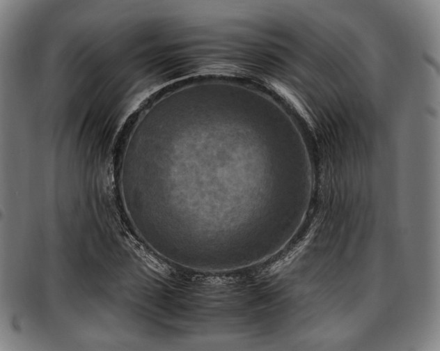 X0000097600923200802291240