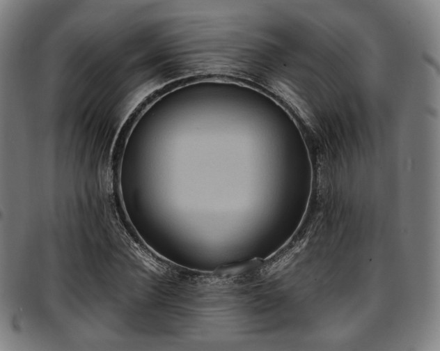 X0000097600924200802291240