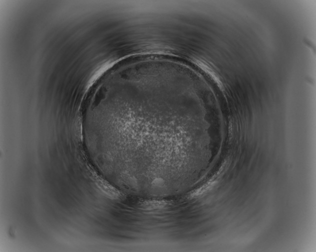 X0000097600925200802291240