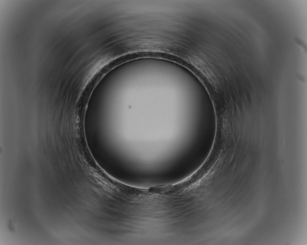 X0000097600926200802291240
