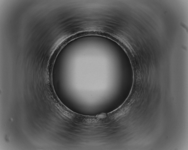 X0000097600927200802291240