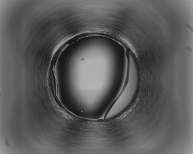 X0000097600928200802291240