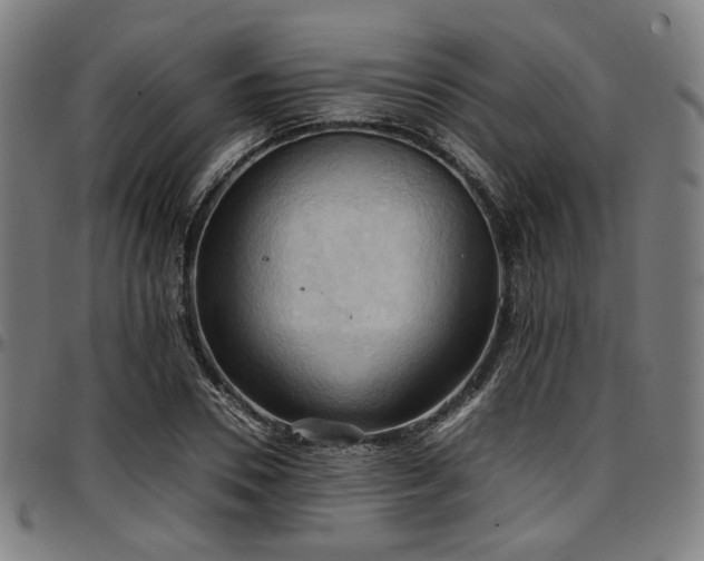 X0000097600930200802291240