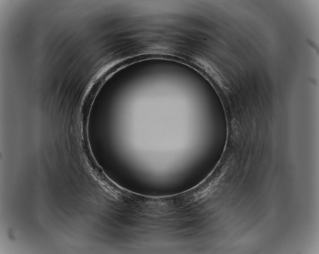 X0000097600931200802291240