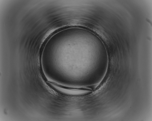 X0000097600934200802291240