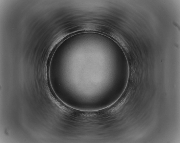 X0000097600939200802291240
