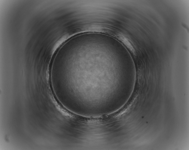 X0000097600944200802291240