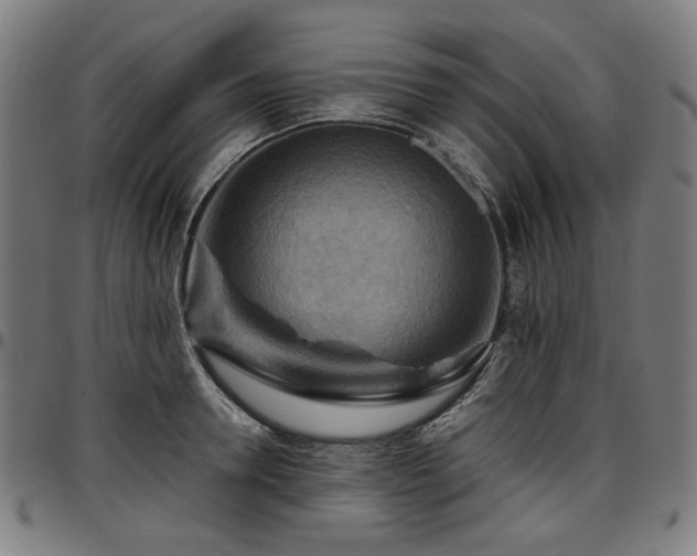 X0000097600946200802291240