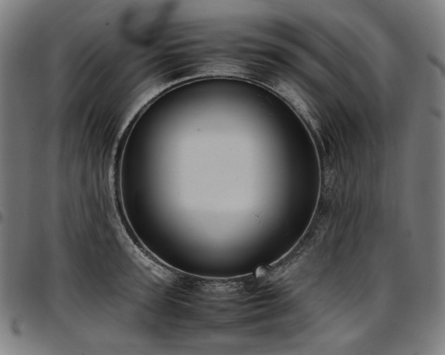 X0000097600947200802291240